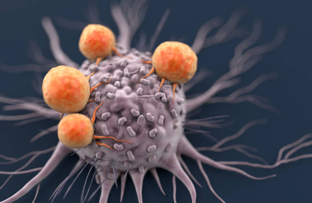 Cancer cell attacked by Lymphocytes Cancer cell attacked by Lymphocytes t cell photos stock pictures, royalty-free photos & images