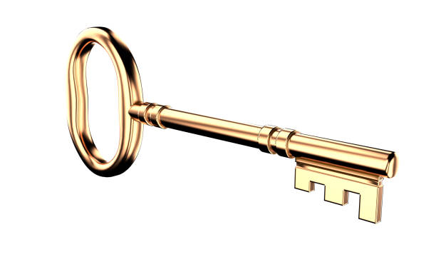 istock Vintage Metal Key 1315449377