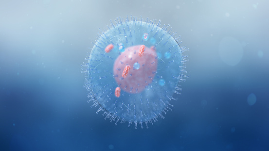 Ilustración detallada de una célula humana photo