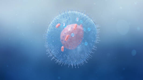 Detailed Illustration of a Human Cell stock photo
