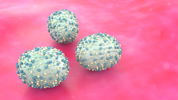 istock 3d illustration of lymphocytes, t-cells 1315450115