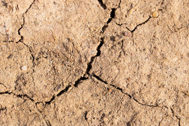 Drought, cracked dry earth.