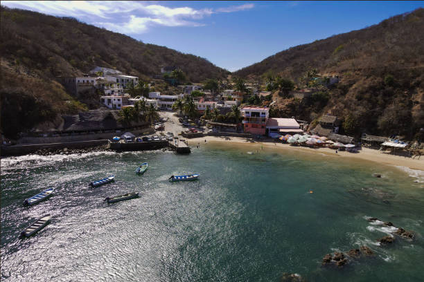 istock Tehualmixtle from the Air 1315465236