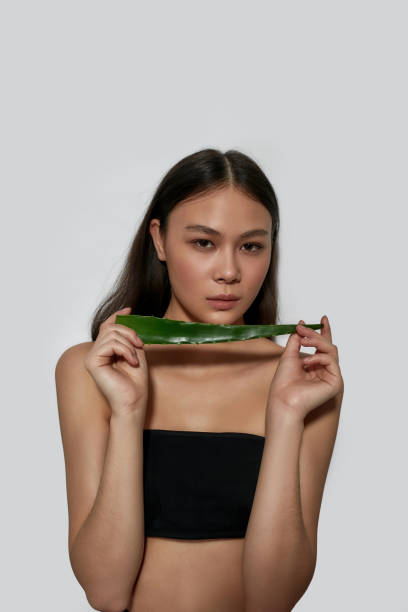 retrato de jovem asiática segurando folha de aloe - herbal medicine asian ethnicity aloe women - fotografias e filmes do acervo