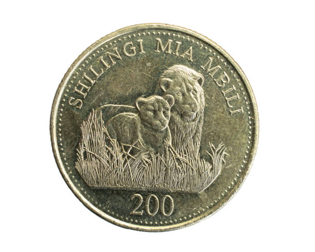 istock Zanzibar two hundred shilling coin on a white isolated background 1315472993