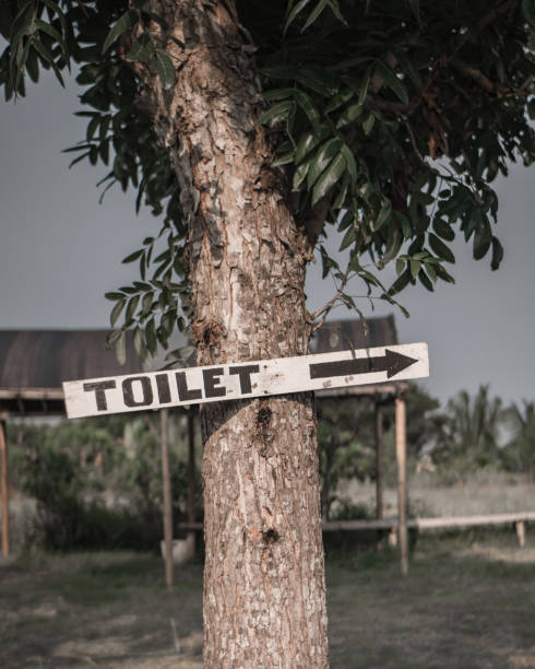 istock Toilet Signboard 1315477568