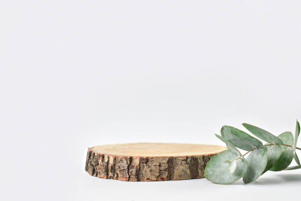 podium pour les présentations de produits. une scène minimaliste d’un arbre abattu à côté d’une branche d’eucalyptus. naturel. copiez l’espace. - eucalyptus wood photos et images de collection