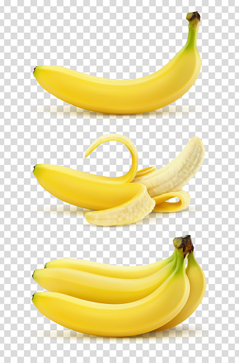 Vector realistic illustration of bananas on a transparent background.