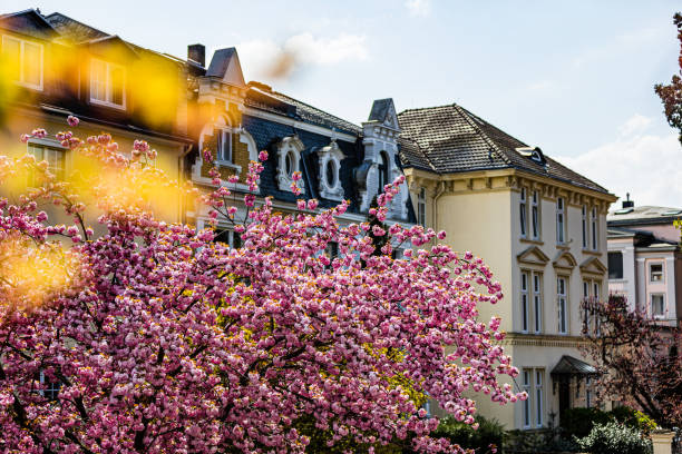 in April in Bonn, Germany in 2021 on a sunny day