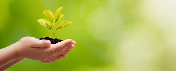 istock Earth day, environmental protection concept 1315495519