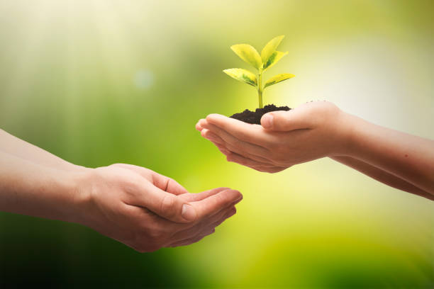 istock Earth day, environmental protection concept 1315495545