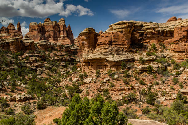 istock canyonlands National Park 1315511754