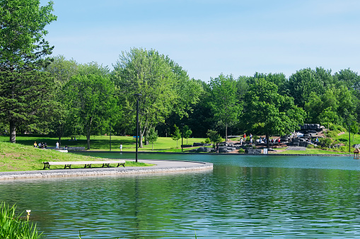 A small lake within the Mount royal park in Montreal Canada on a sunny summer day.