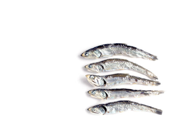 istock Dried sardine. In Japanese, it is called 