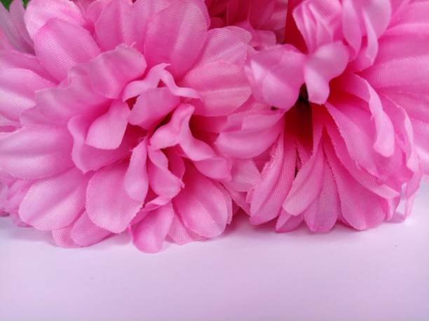 istock Pink chrysanthemums on a white background. Artificial flowers as a bouquet 1315538024