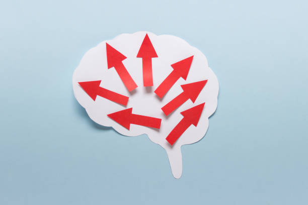 istock Large paper brain outline with red arrows on blue background 1315544686