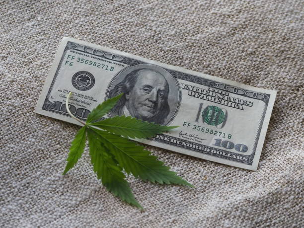 istock business hemp concept. cannabis cloth and dollars. 1315546027
