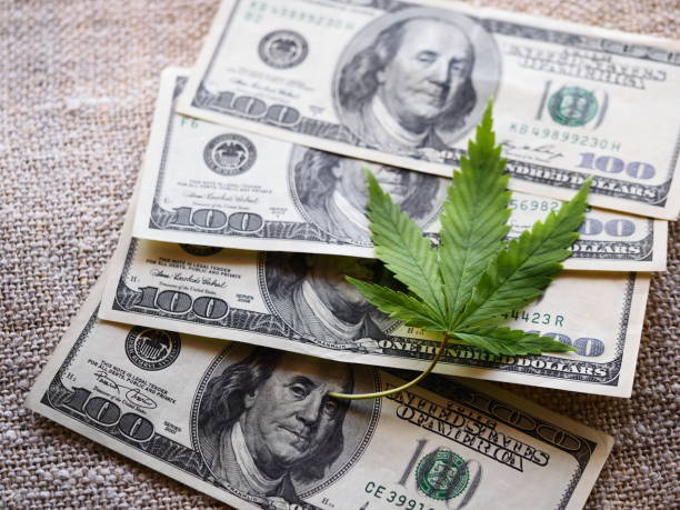 istock business hemp concept. cannabis cloth and dollars. 1315546029