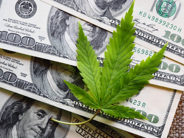 istock business hemp concept. cannabis cloth and dollars. 1315546033