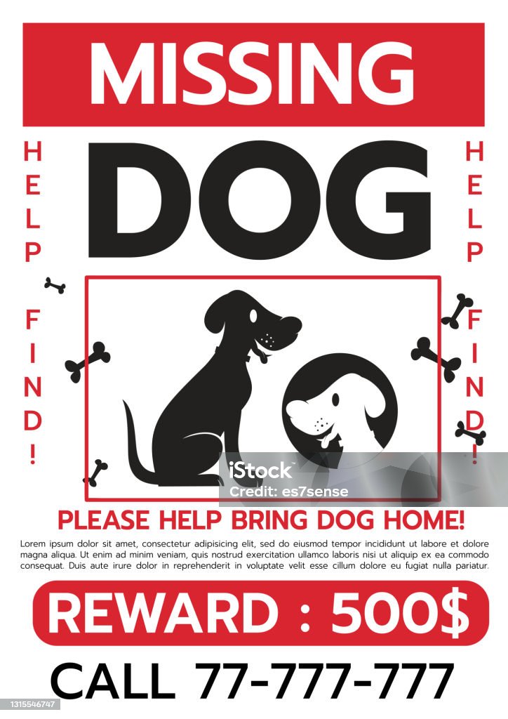 Lost Dog Poster Vector Illustration Stock Illustration - Download Image Now  - Lost, Dog, Poster - iStock