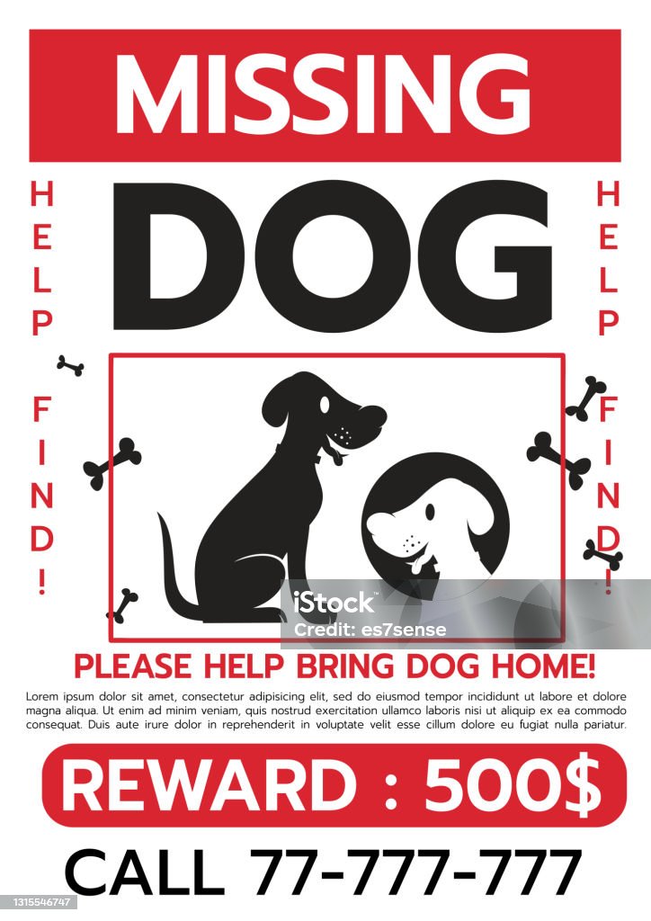 Lost Dog Poster Vector Illustration Stock Illustration - Download Image Now - Lost, Dog, Poster - iStock Lost Dog Poster Vector Illustration Stock Illustration - Download Image Now - Lost, Dog, Poster - iStock