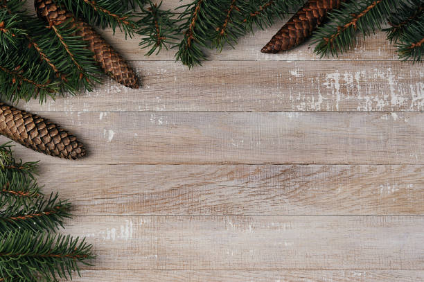 istock Christmas background with Christmas trees and cones 1315550259