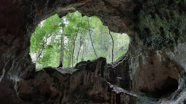 istock exit from the cave in the bay of Samana Dominican Republic 1315554982