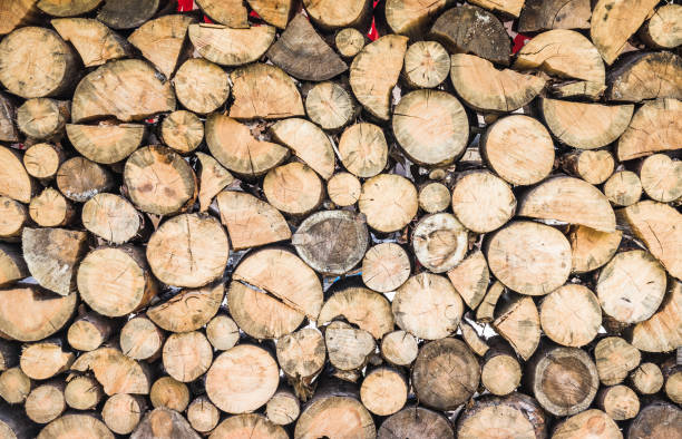 istock Pile of wood logs ready for winter 1315567746