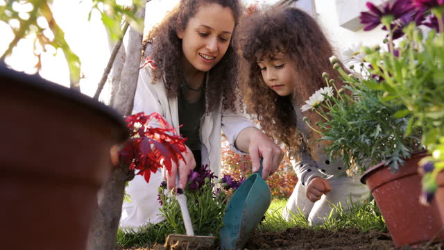 Mother and daughter gardening during a sunny day, mother and daughter are planting flowers in the backyard of the house, hands planting green seedling, community gardening, urban agriculture, allotments, sustainable garden, happy family concept