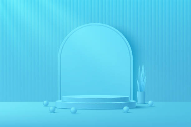 istock Abstract blue cylinder platform podium with sphere ball. Plant pot and leave decorate. Blue minimal wall scene with geometric shape backdrop. Vector rendering 3d shape for product display presentation 1315578230
