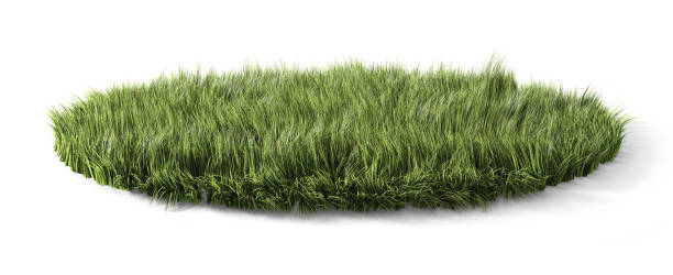 istock Round glade with green grass on white background. 3d illustration 1315579783