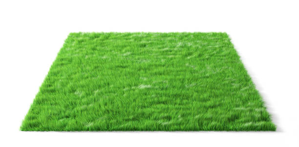istock Grass carpet on a white background. Square glade with green grass. 1315579846