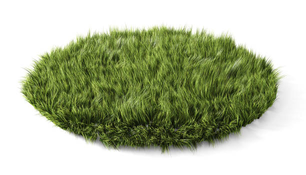 istock Round glade with green grass on white background. 3d illustration 1315579850