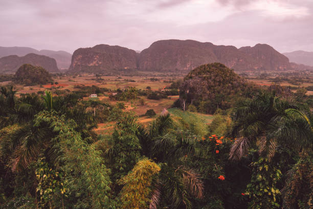 istock Scenic View Of Mountains Against Sky 1315587461