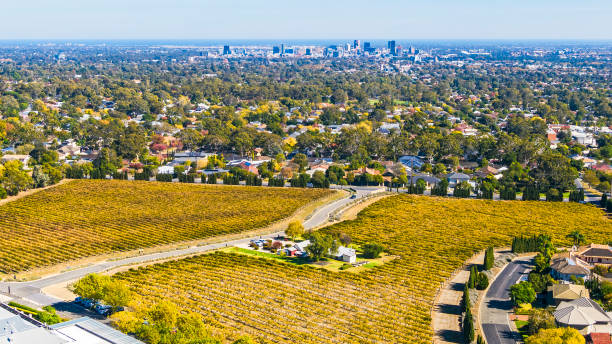 Aerial view of Adelaide City with autumn vineyards in foreground Aerial view of the City of Adelaide with autumn colours, Penfolds Winery & yellow vineyards in the foreground, leading to leafy eastern suburbs, the city centre and the coast. adelaide stock pictures, royalty-free photos & images