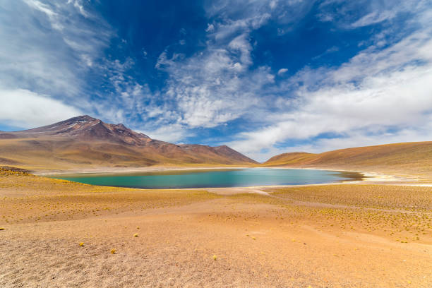 istock Miniques Lagoon in the Atacama Desert, Chile 1315590299