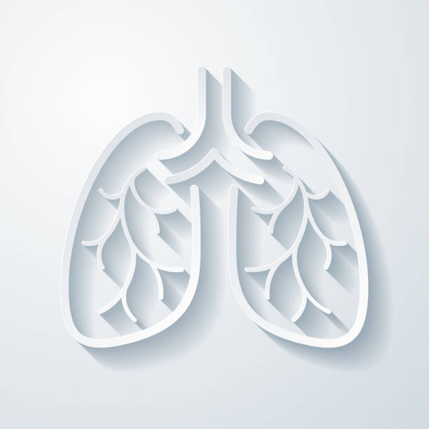 ilustraciones, imágenes clip art, dibujos animados e iconos de stock de pulmones. icono con efecto de corte de papel sobre fondo en blanco - neumonía