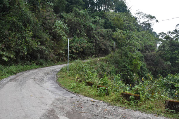istock A curved asphalt road in the hilly forest. 1315594830