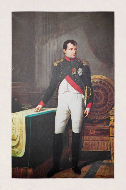 illustrations, cliparts, dessins animés et icônes de portrait officiel de napoléon bonaparte - napoleon bonaparte