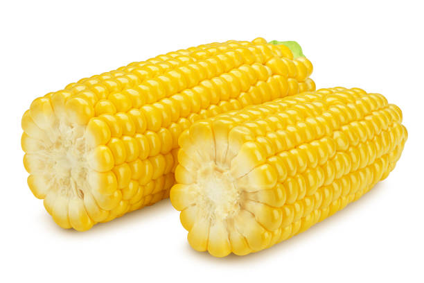 istock corn ear, isolated on white background, clipping path, full depth of field 1315598569