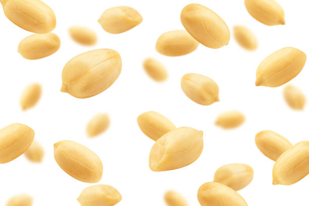 흰색 배경에 고립 된 땅콩 떨어지는, 선택적 초점 - peanut nut snack isolated 뉴스 사진 이미지