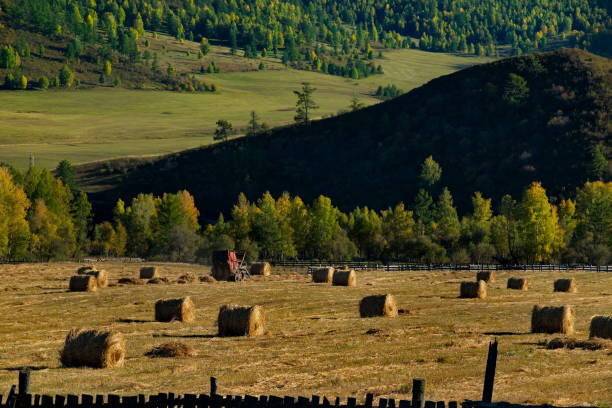 istock Hayfields of mountain valleys 1315600101