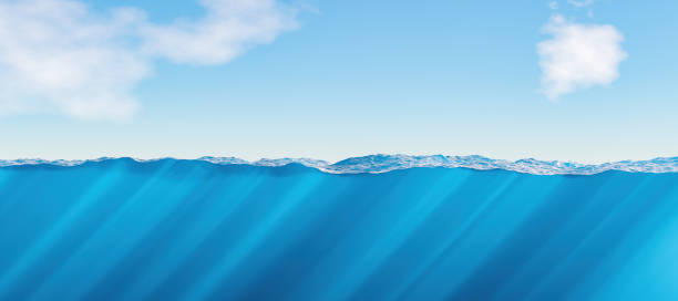 istock surface and underwater view of the sea. space for text. 1315600538