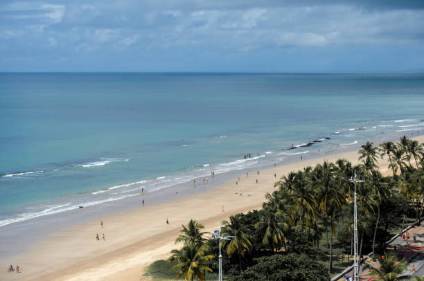 istock Boa Viagem beach in Recife 1315604926