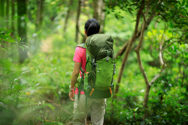 istock Woman backpacker hiking in spring forest 1315606662