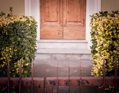elegant old house entrace, detail on doorstep and hedge