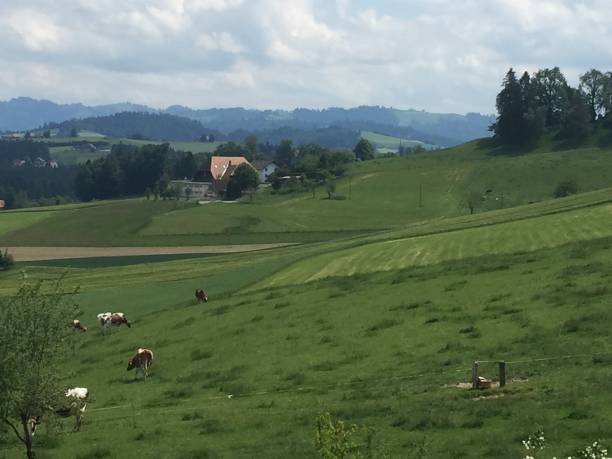 istock Switzerland - Emmental - Canton of Bern 1315608530