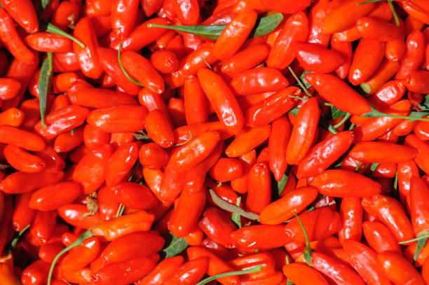 istock Fresh red goji berry fruits 1315608896