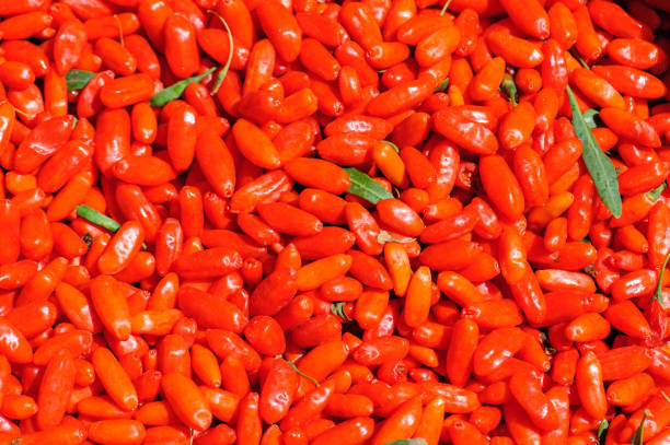 istock Fresh red goji berry fruits 1315608912