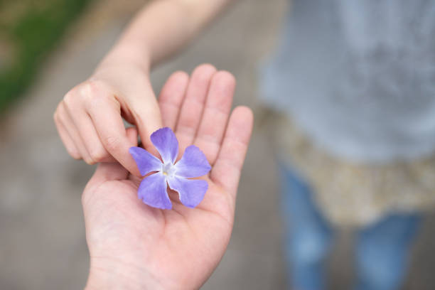 Parent and child hands handing violet flower